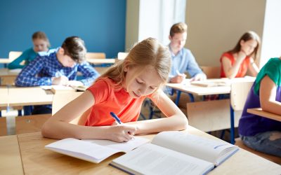 Stappenplan schoolscan Nationaal Programma Onderwijs