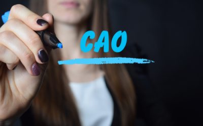 Nieuwe CAO onderwijsadviesbureaus