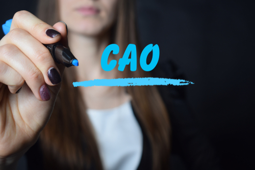 Nieuwe CAO onderwijsadviesbureaus