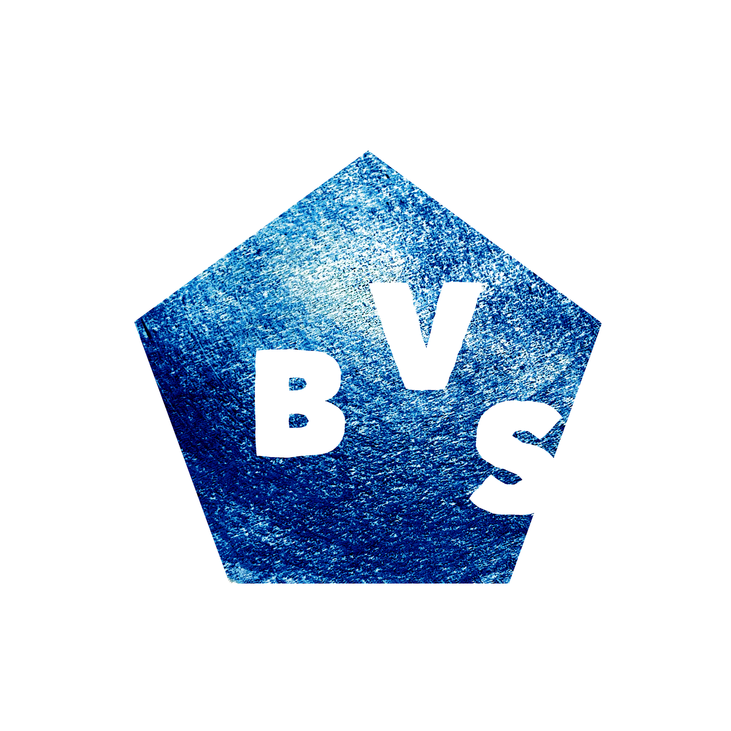 BVS-logo-2400x2400-transparant
