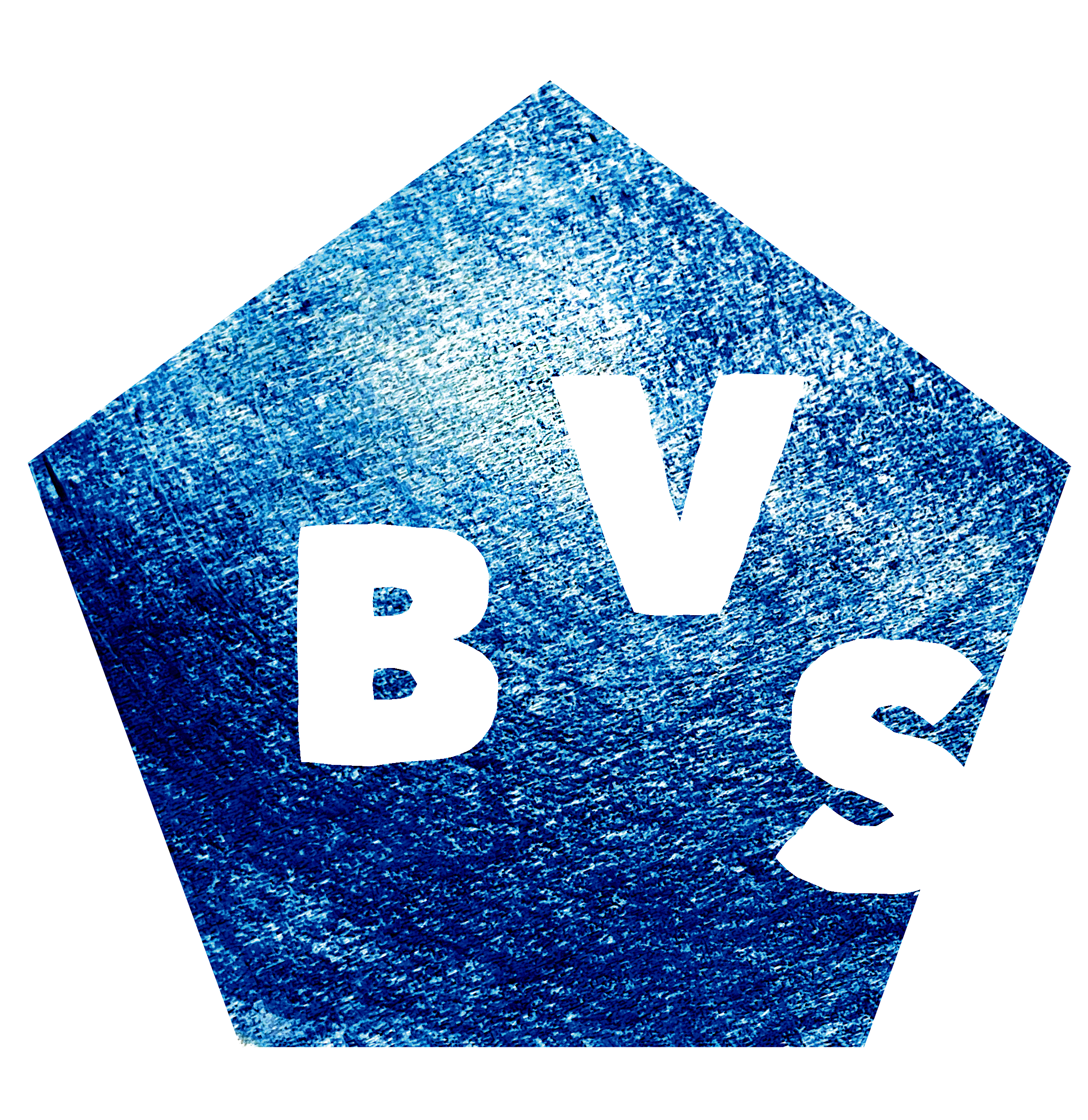 final bvs