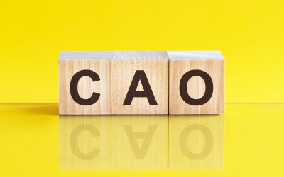 Formeel akkoord CAO Onderwijsadviesbureaus 2022